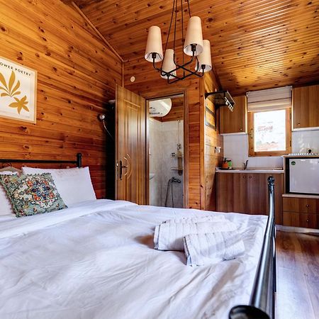 Chalet Parea Метаморфосі Екстер'єр фото
